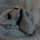 61a0ea81-8c73-487c-9785-ff89d50b0384.webp