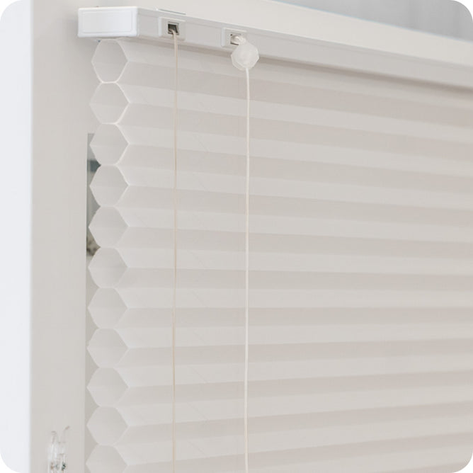 Honeycomb Day-Night Cordless Blind