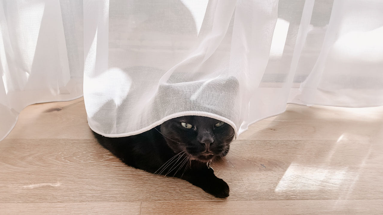 Mythos Sheer Curtain