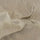 c514cf0d-71c1-4e80-8489-dab6f5978b81.webp