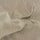c514cf0d-71c1-4e80-8489-dab6f5978b81.webp