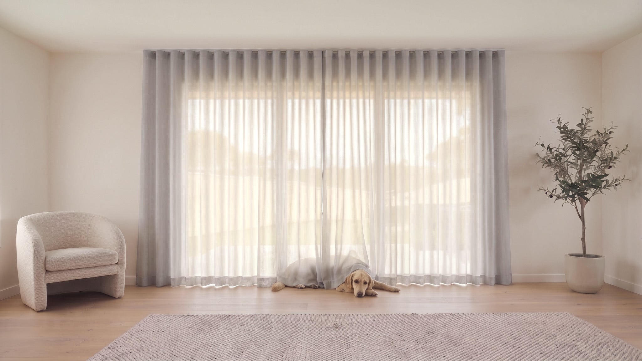 Cloud Sheer Curtain in Angora, S-fold on a ceiling track