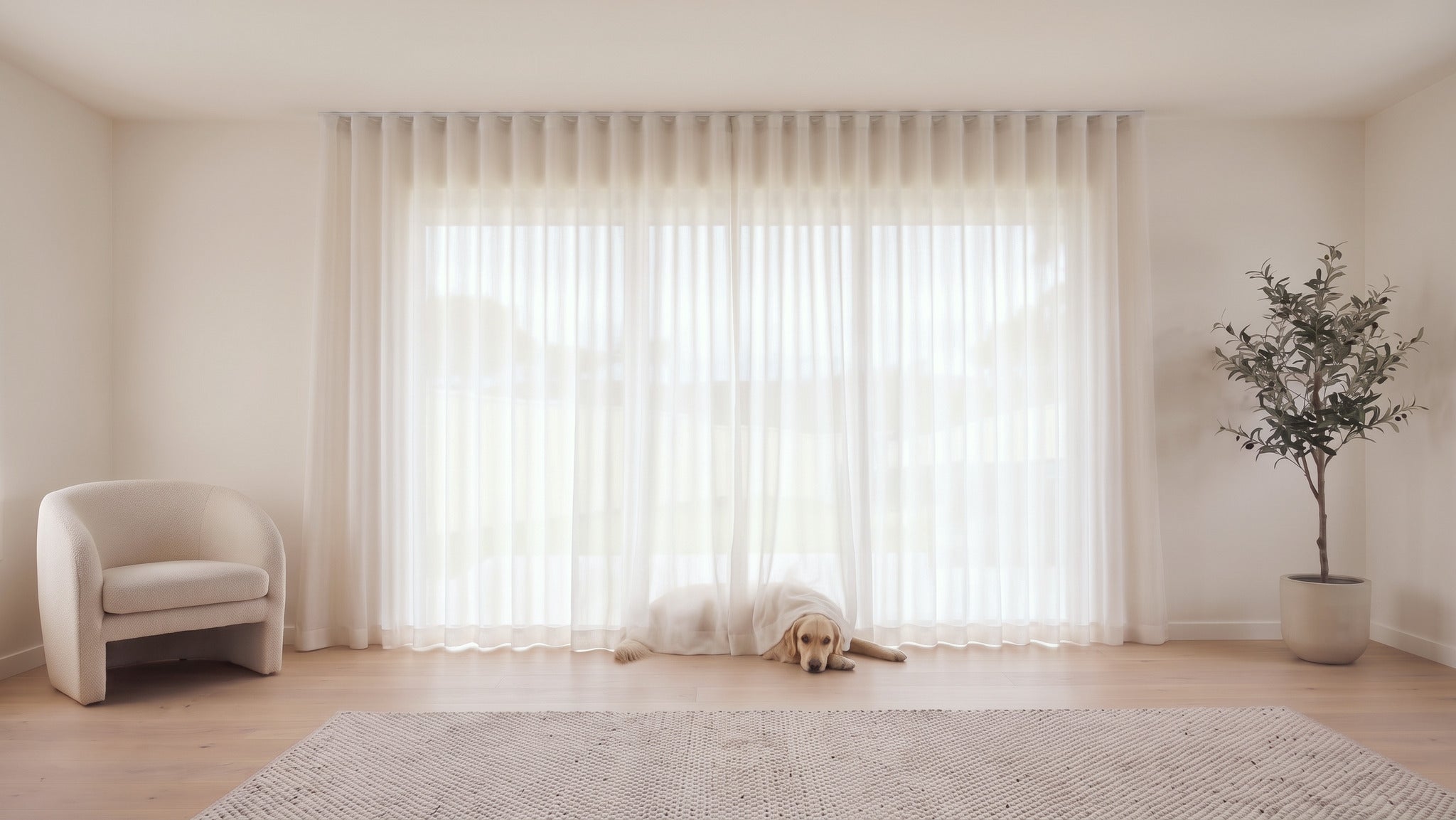 Cloud Sheer Curtain in Whisper, S-fold on a ceiling track