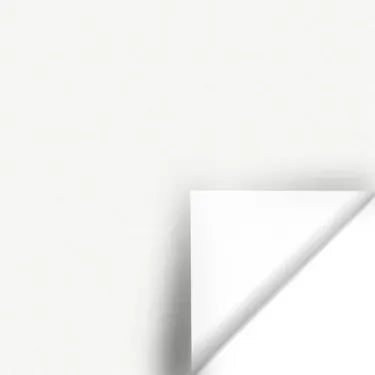 ff587ca6-b9d2-4e67-9b67-fcd386ac3e4d.webp